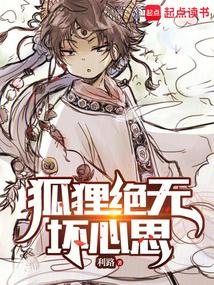 狐狸绝无坏心思 封面