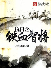 抗日之铁血智将 封面