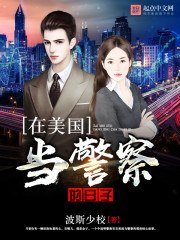 在美国当警察的日子 封面