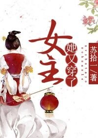 女主她又穿了 封面