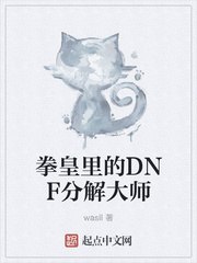 拳皇里的DNF分解大师 封面