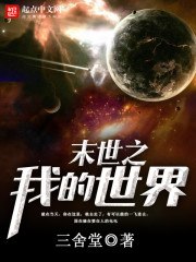末世之我的世界 封面