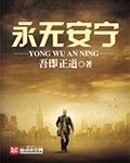 永无安宁 封面