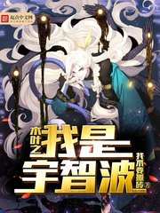 木叶之我是宇智波 封面